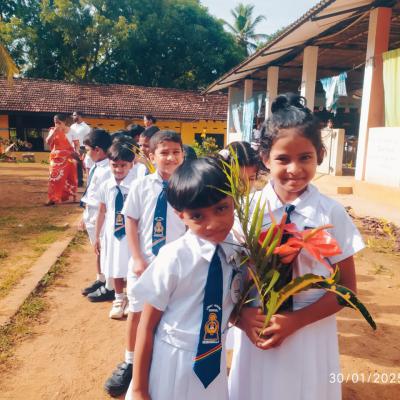 ලමුන් බාර ගැනීම 2024