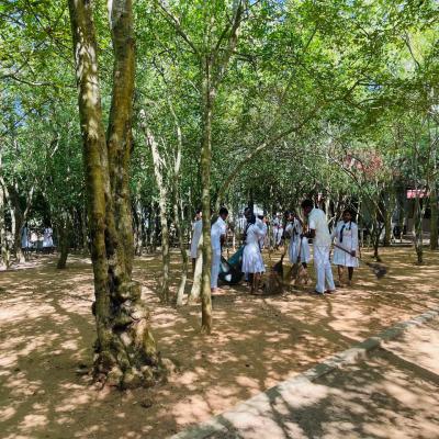 Whatsapp Image 2025 02 26 At 04.33.19 7aba897a